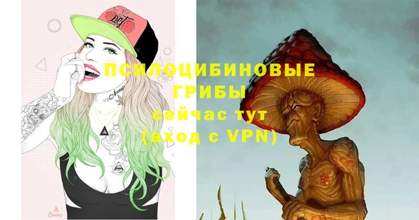 герыч Бронницы